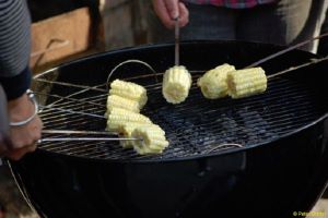 Scorching Barbeque Tips from LFHW