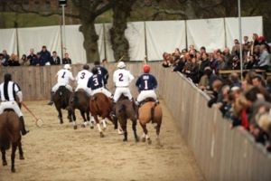 Hickstead Arena Polo Test Match