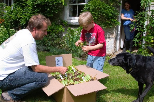 Keep Growing All Year - with Rocket Gardens