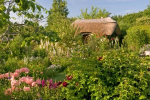 RHS - National Gardening Week