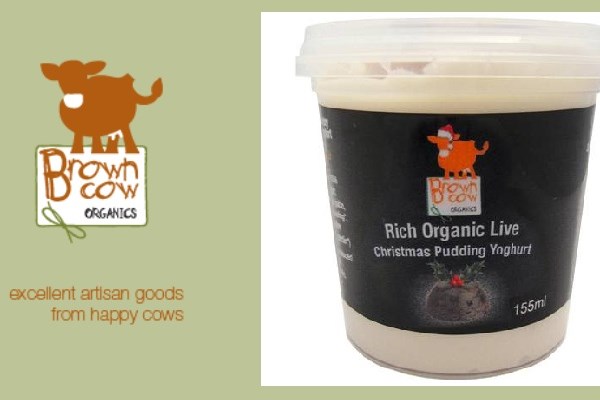 Brown Cow Organics Live Organic Christmas Pudding Yoghurt