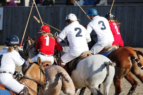 All England Polo Club Open Weekends