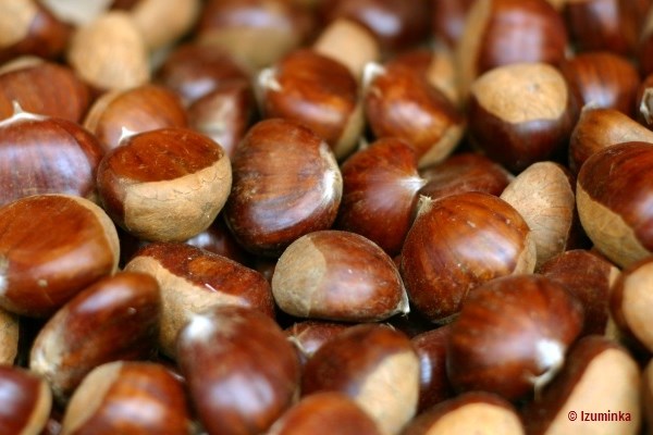 Boiled Chestnuts