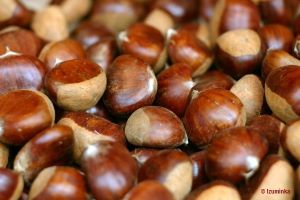 Boiled Chestnuts