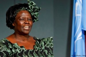 UNEP Pays Tribute to Professor Wangari Maathai