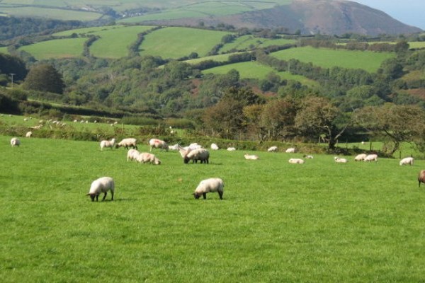 Britain's Favourite Food Spot