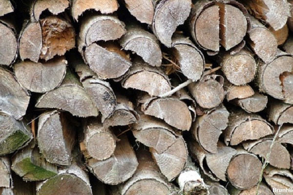 Wood Fuelled Heating