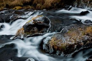 Hydro Electricity