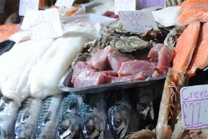 Seafish Awards £700k to Industry Projects