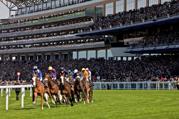 The Source Went To Royal Ascot 2011