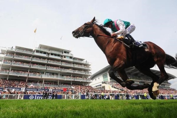 It's Countdown Races to the Investec Derby Festival