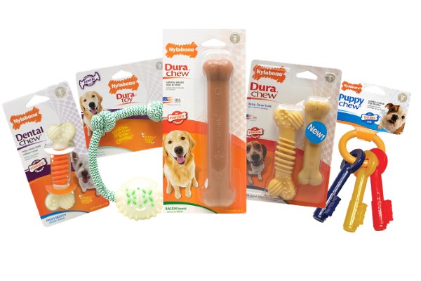 Win a £50 Nylabone Hamper for your Dog this Christmas