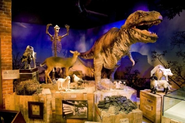 Win a Family Ticket to Ripley's Believe It or Not! London