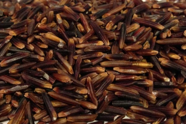 Boost Your Antioxidants with the Black Rice of Vietnam