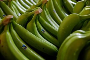 Fairer Deals for Banana Farmers for Fairtrade Fortnight 2014