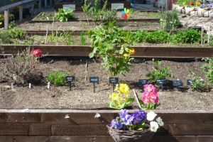 This Summer Manchester Becomes a Garden City