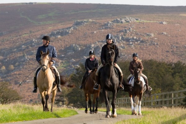 Explore the Beauty of Dartmoor with Liberty Trails Bespoke Experience Holidays