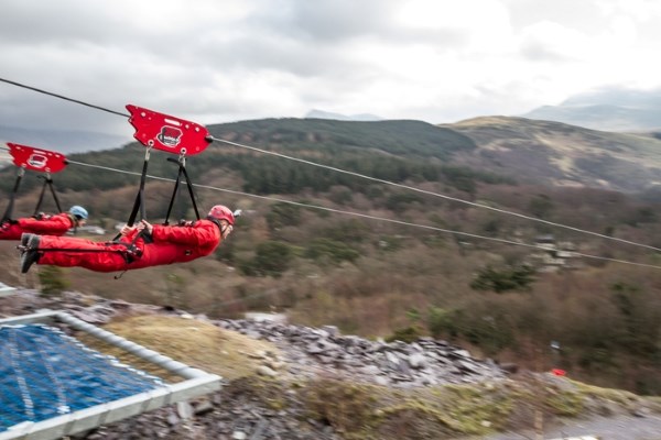 Thrills All the Way with Zip World Penrhyn and the Tree Top Adventure in Snowdonia