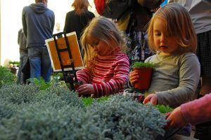 Cook Eat and Grow in the Great Outdoors with Love Food Festival