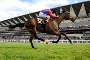 The Great British Drama of Royal Ascot 2014