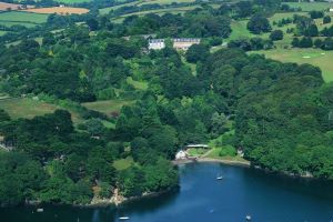 Wild Food Foraging With A "Hungry Boy" At Cornwall's Budock Vean