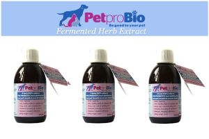 Advent Day 8 - Win a Bottle of PetproBio Herb Extract's