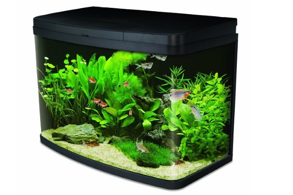 Win an Interpet Insight Glass Aquarium Premium Kit