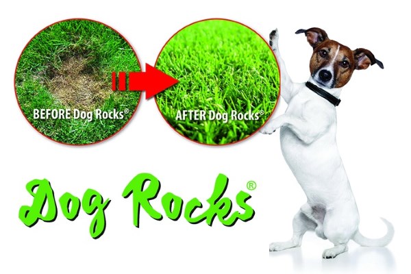 Win a Six Months Supply of Dog Rocks