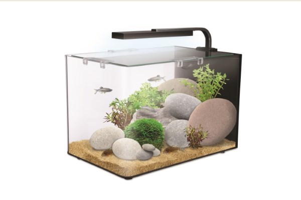 Win a Nano Aquarium with Interpet