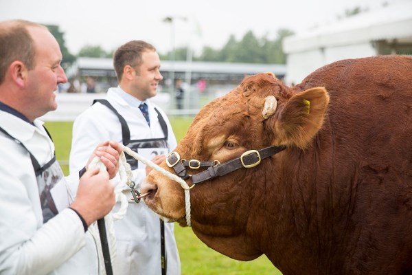 A Celebration of Home Grown Produce at the Kent County Show 2015