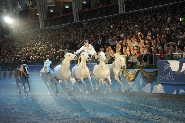 Olympia, The International Horse Show 2105