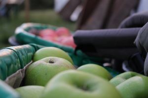 British Apples 'Secretly' Exposed