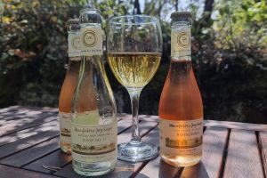 Inclusive Events with Bacchus and Hops
