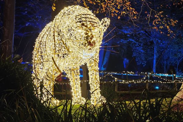 Port Lympne Illuminated 2025