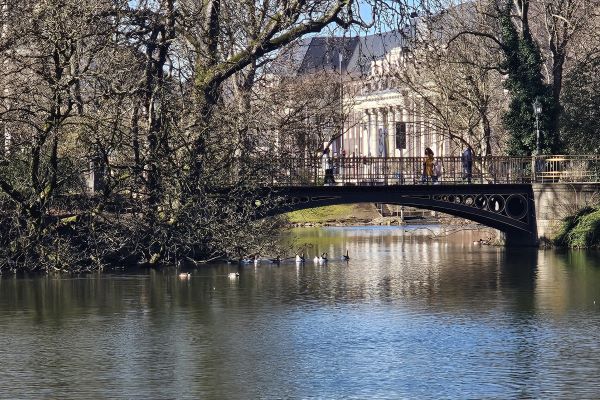 Discover Düsseldorf Today