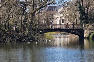 Discover Düsseldorf Today