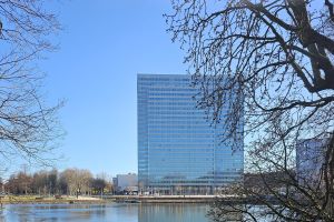 Dusseldorf Unwrapped