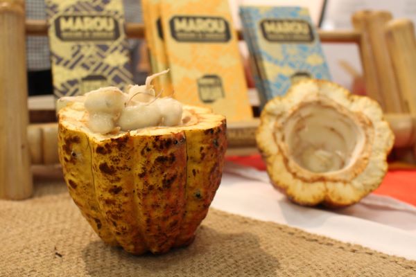 Real Chocolate with Discover Cacao