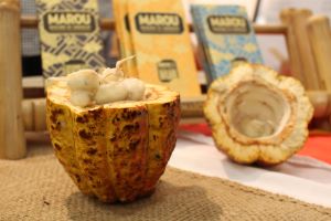 Real Chocolate with Discover Cacao