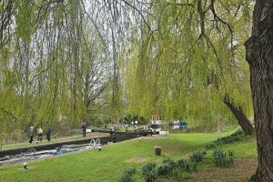 Easter In Berkhamsted