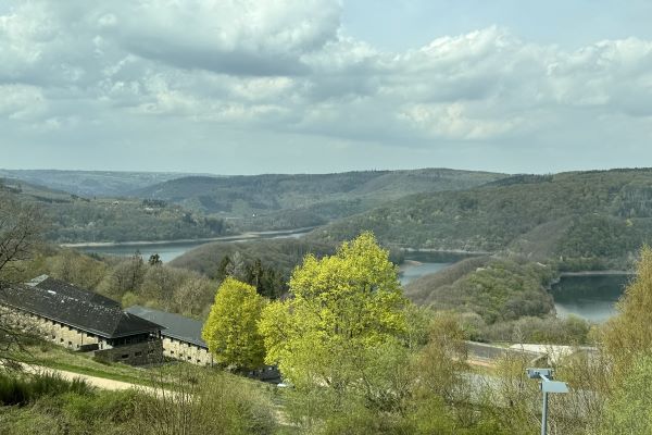 A Breath of Fresh Air at Eifel National Park