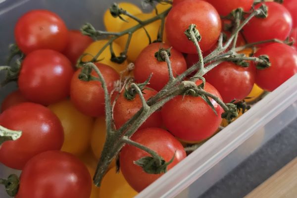 Easy Tomato Salad