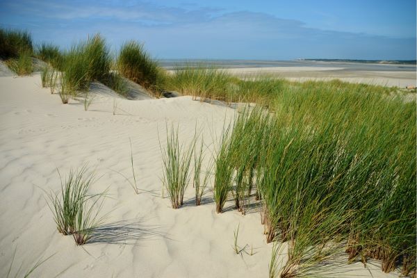Visit Pas de Calais