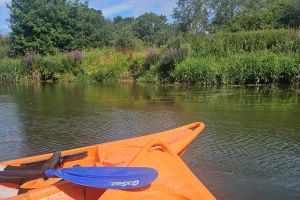 Kayaking with Fluid Adventures