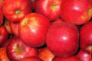 Cheesy Apple-tisers