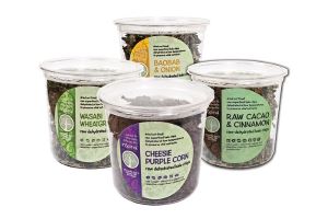 inSpiral's Raw Dehydrated Kale Chips