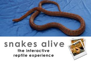 Snakes Alive!