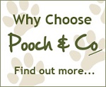 Why Choose Pooch