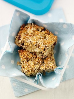 Oat Squares