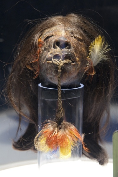 Ripleys' Shrunken Head